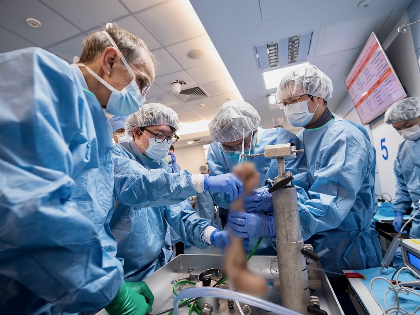 HK Wrist Course 2024 - Workshops  - 72 of 241